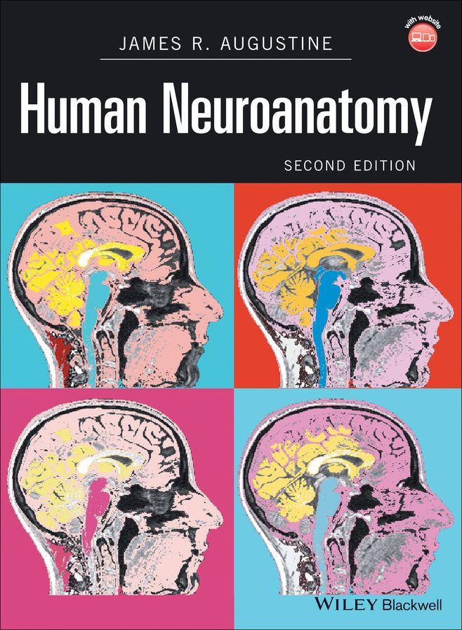 Human Neuroanatomy