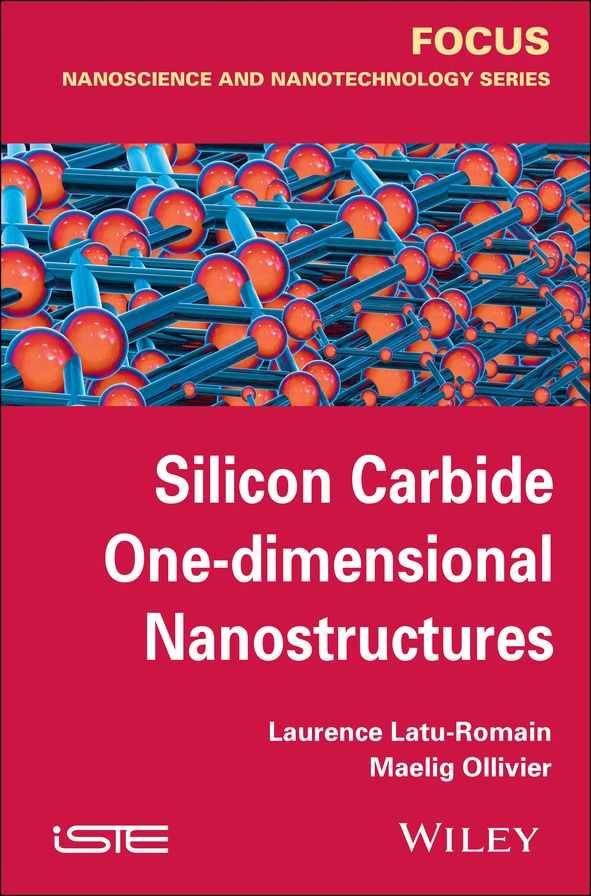 Silicon Carbide One-dimensional Nanostructures