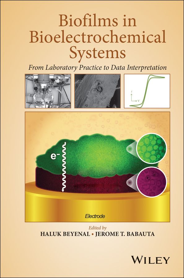 Biofilms in Bioelectrochemical Systems: From Laboratory Practice to Data Interpretation