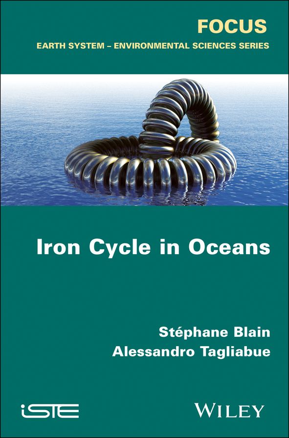 Iron Cycle in Oceans