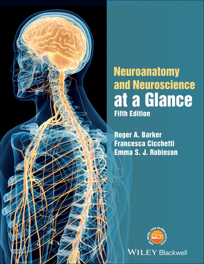 Neuroanatomy and Neuroscience at a Glance