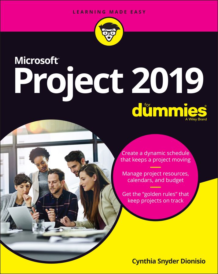 Project 2019 For Dummies