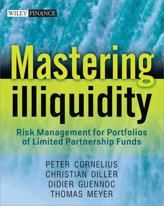 Mastering Illiquidity: Risk management for portfolios of limited partnership funds