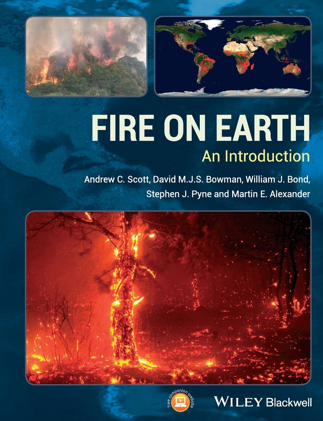 Fire on Earth : An Introduction