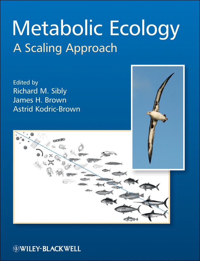 Metabolic Ecology: A Scaling Approach