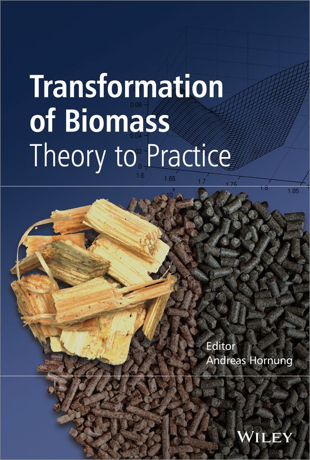 Transformation of Biomass : Theory to Practice