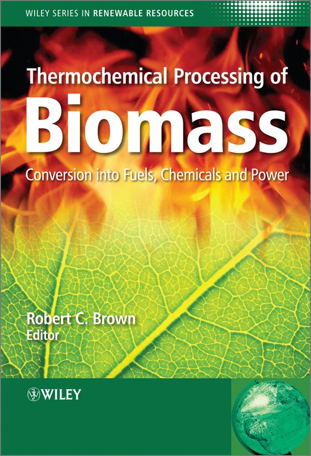 Thermochemical Processing of Biomass: Conversion into Fuels, Chemicals and Power