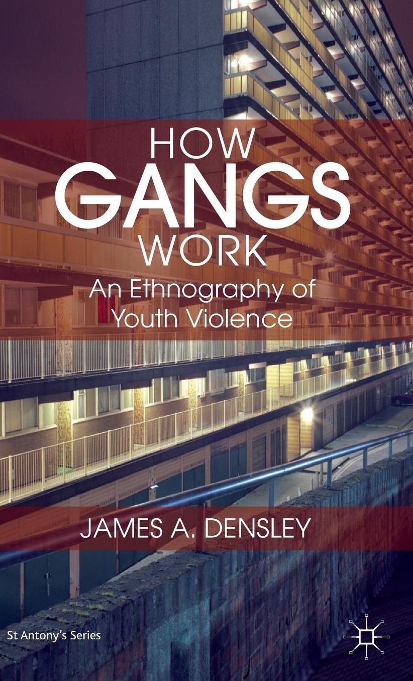How Gangs Work: An Ethnography of Youth Violence