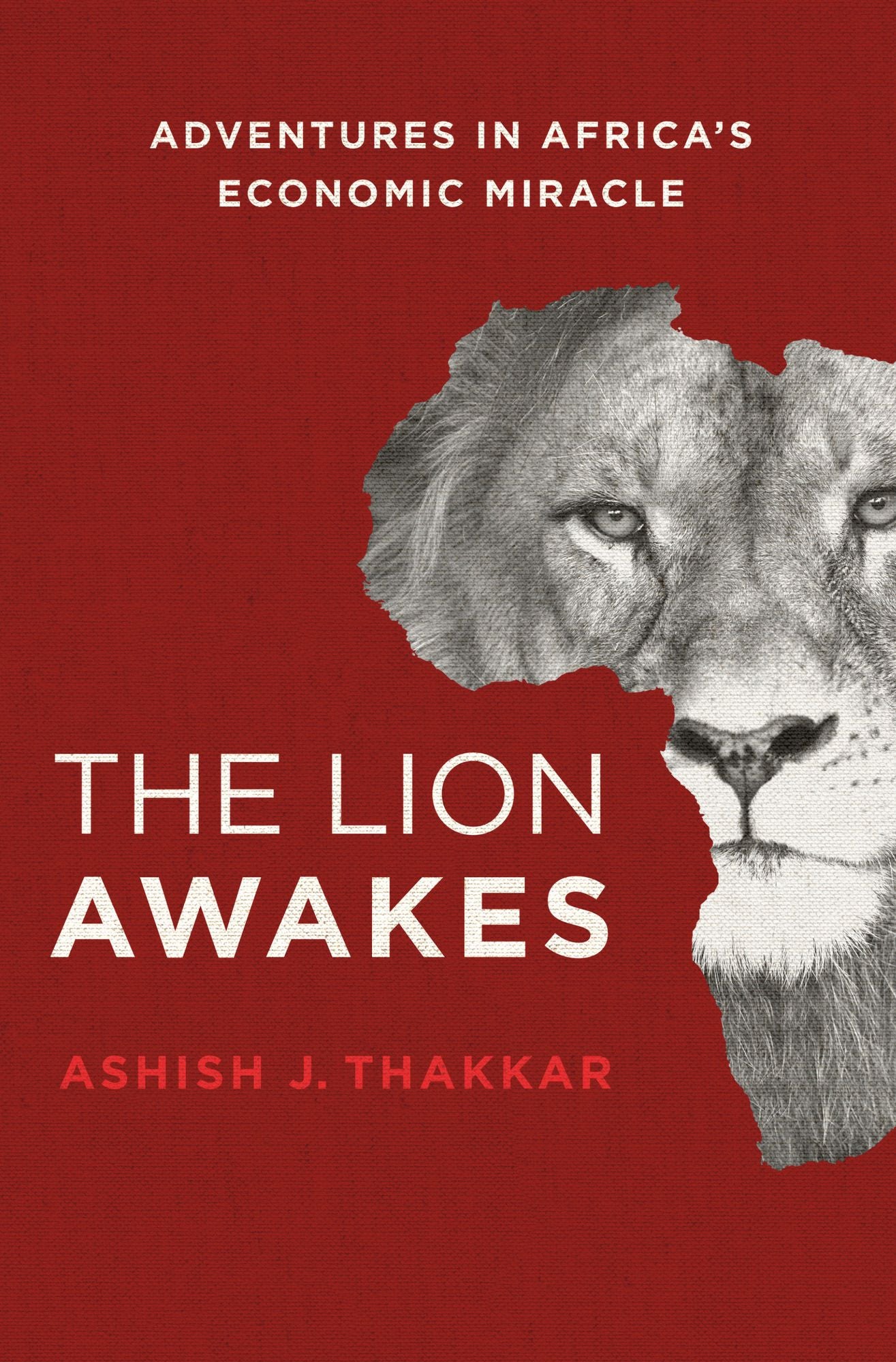 The Lion Awakes: Adventures in Africa's Economic Miracle
