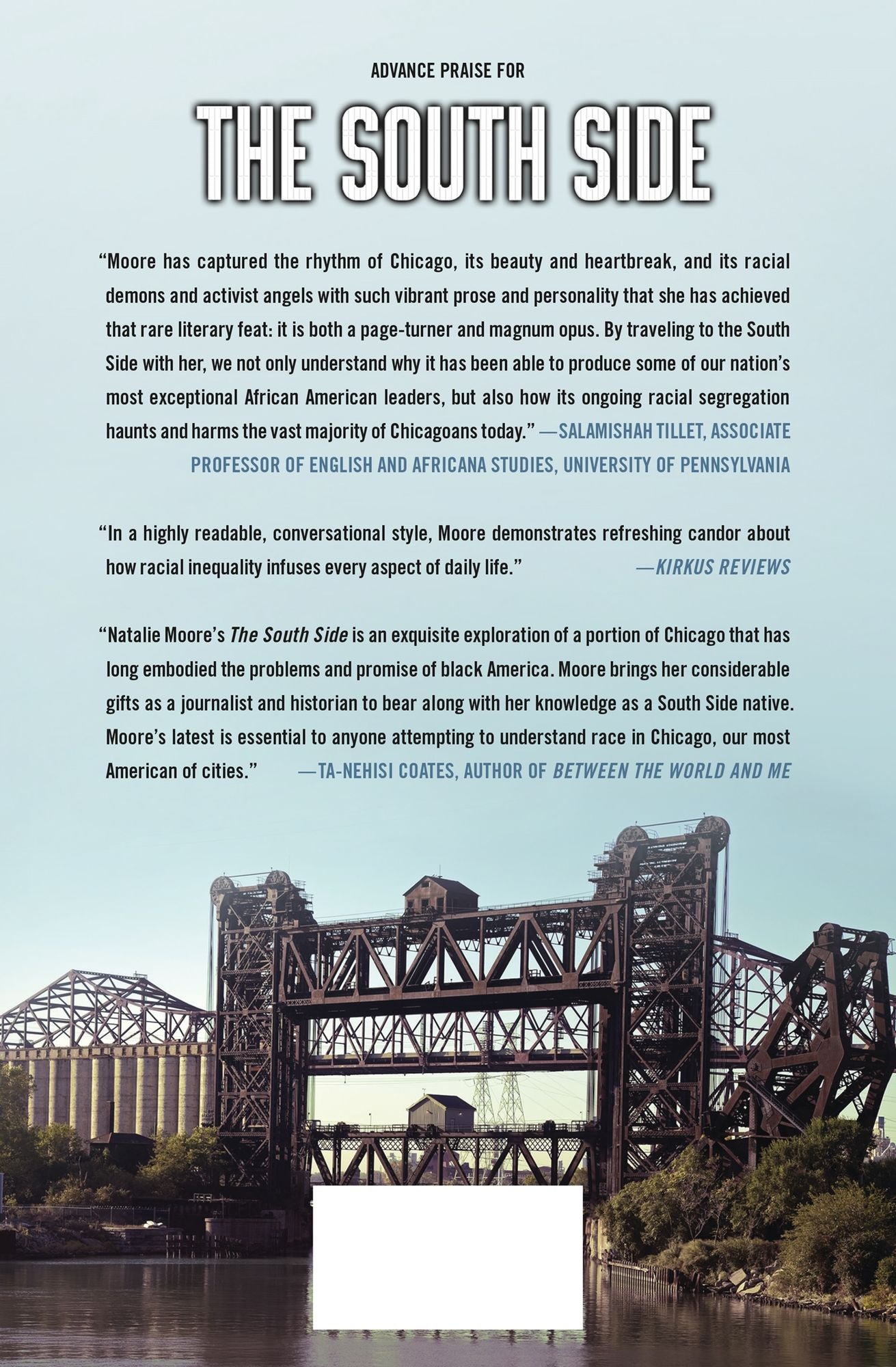 The South Side: A Portrait of Chicago and American Segregation