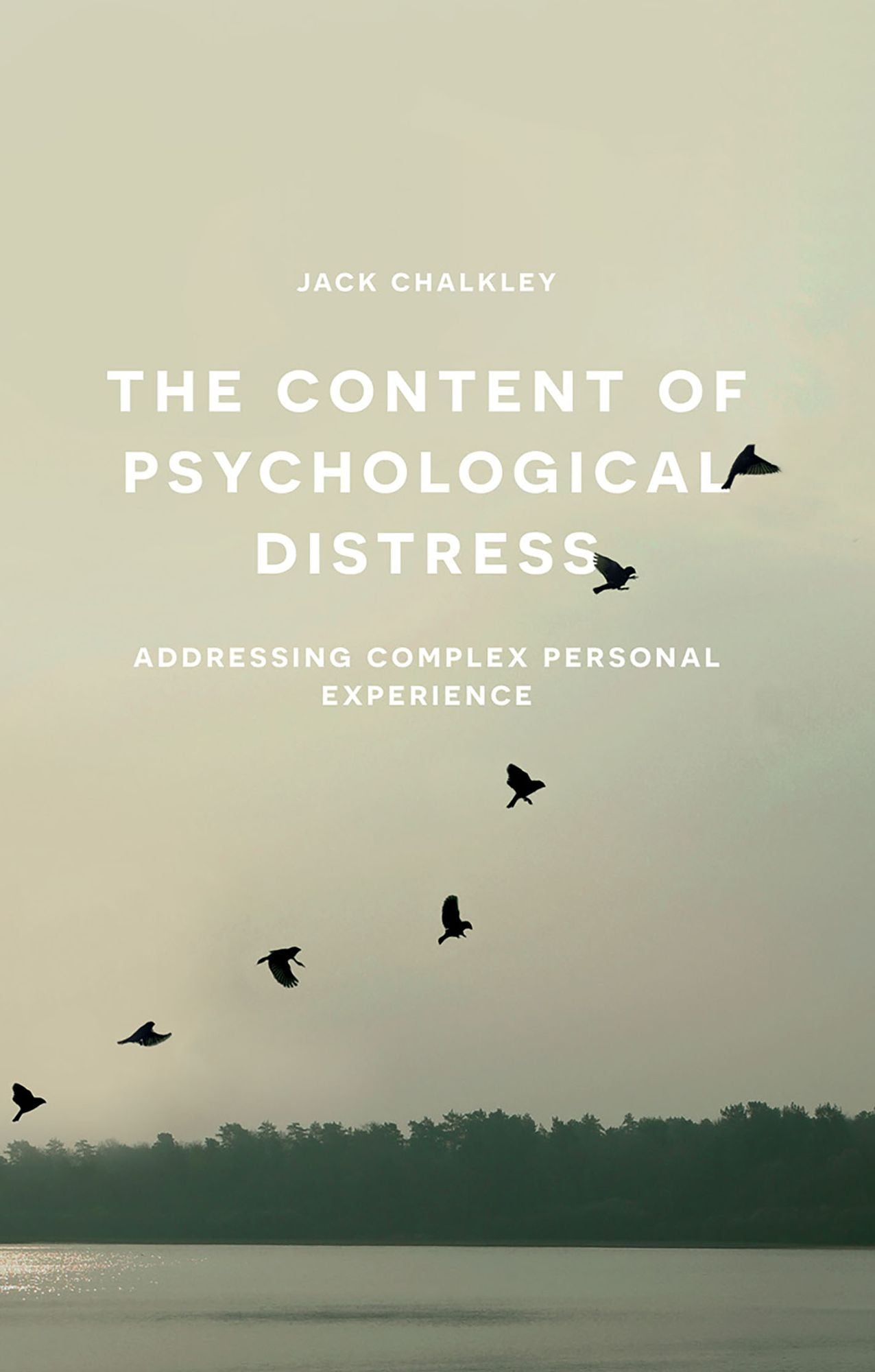 The Content of Psychological Distress: Addressing Complex Personal Experience