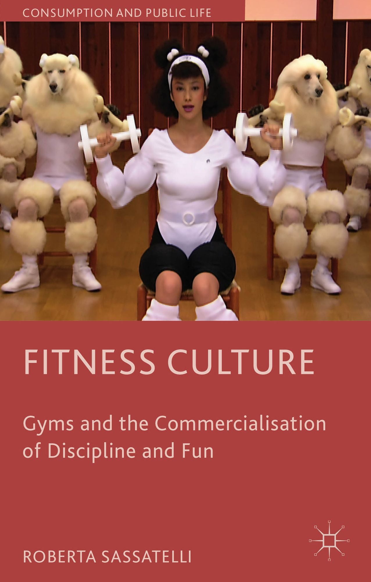Fitness Culture: Gyms and the Commercialisation of Discipline and Fun