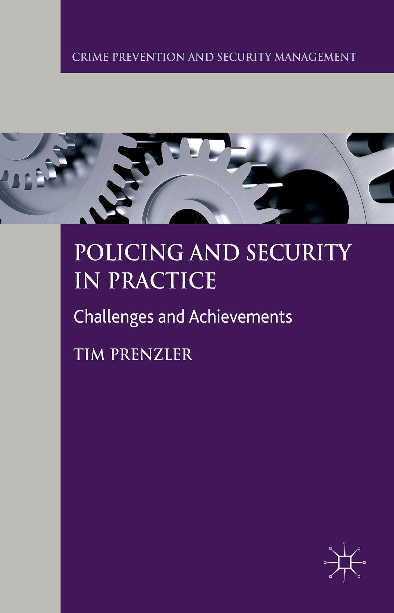 Policing and Security in Practice: Challenges and Achievements