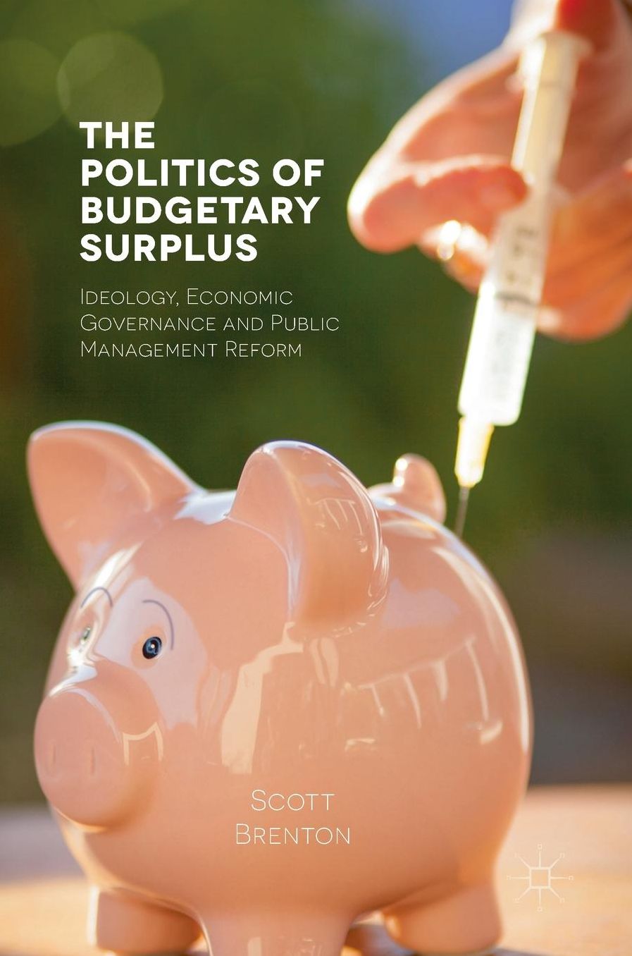 The Politics of Budgetary Surplus