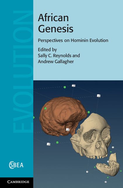 African Genesis: Perspectives on Hominin Evolution
