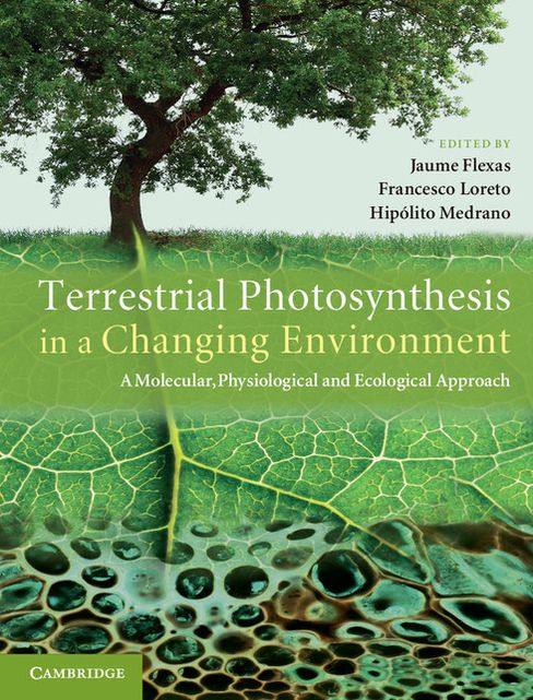 Terrestrial Photosynthesis in a Changing Environment: A Molecular, Physiological, and Ecological Approach
