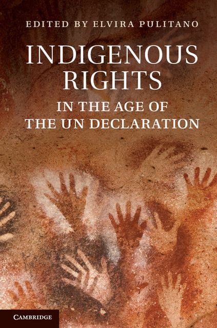 Indigenous Rights in the Age of the UN Declaration