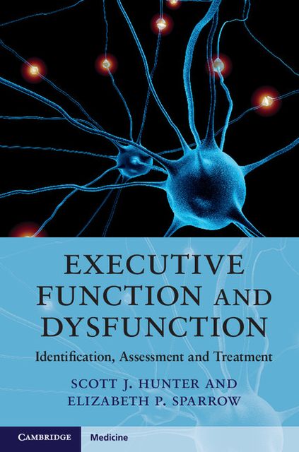 Executive Function and Dysfunction: Identification, Assessment and Treatment