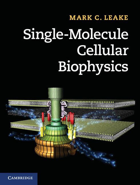 Single-Molecule Cellular Biophysics