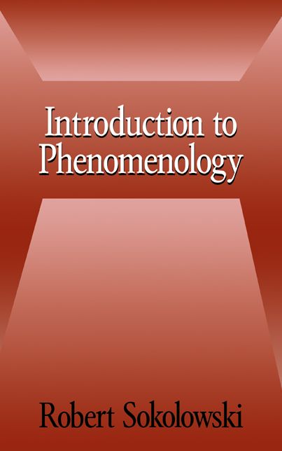 Introduction to Phenomenology
