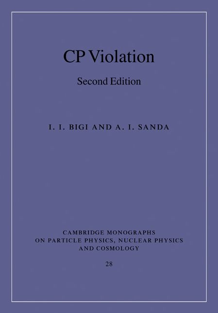 CP Violation