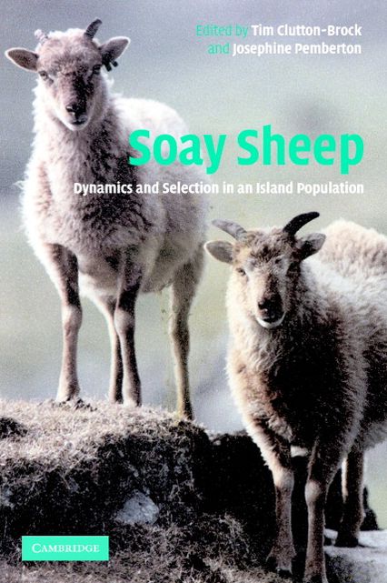 Soay Sheep: Dynamics and Selection in an Island Population