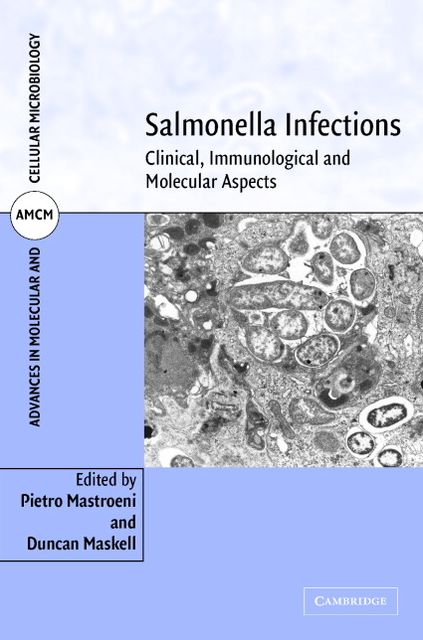 Salmonella Infections: Clinical, Immunological and Molecular Aspects