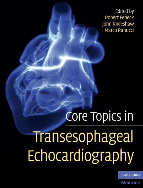 Core Topics in Transesophageal Echocardiography