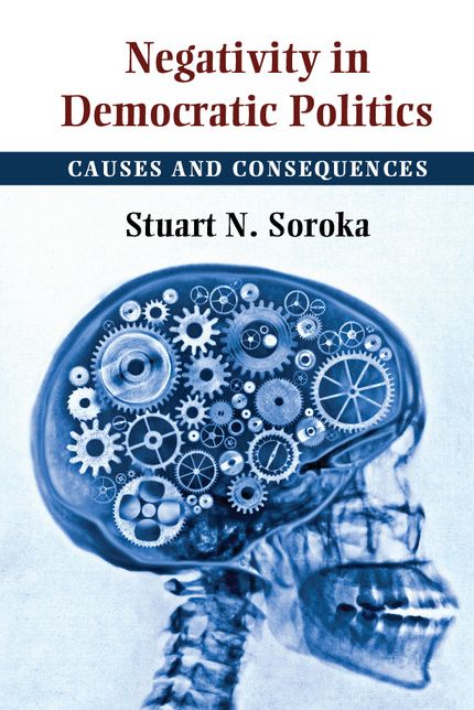 Negativity in Democratic Politics: Causes and Consequences