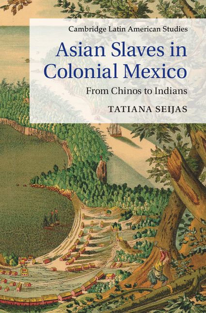 Asian Slaves in Colonial Mexico: From Chinos to Indians