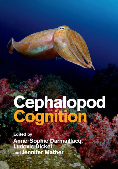 Cephalopod Cognition