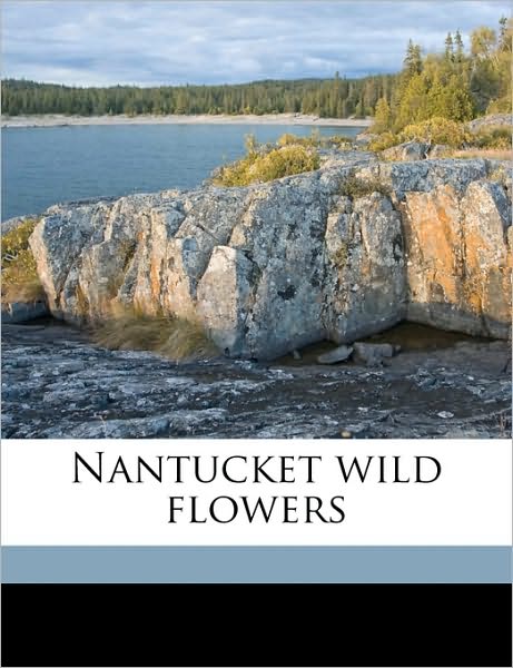 Nantucket wild flowers