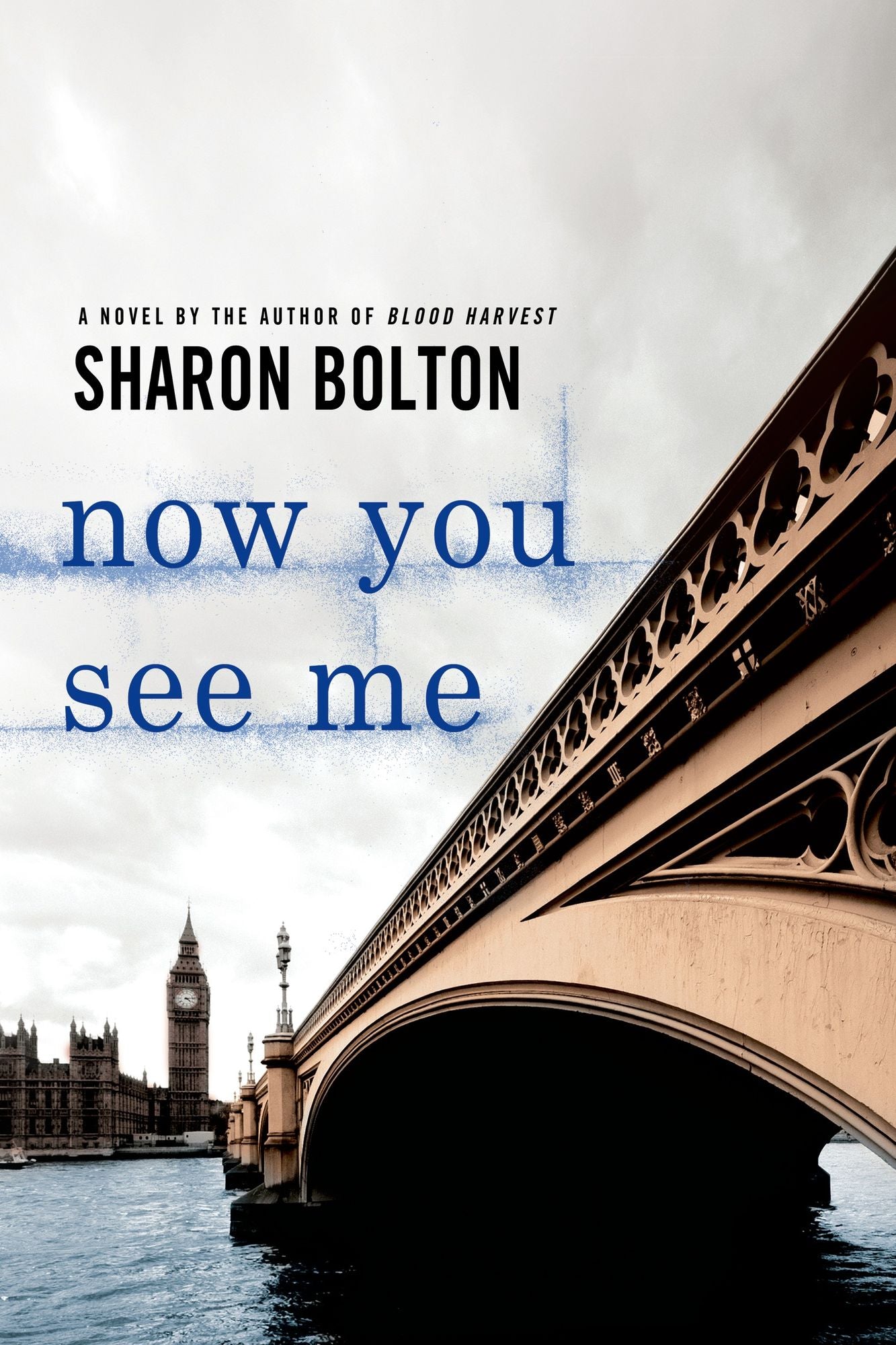Now You See Me (Lacey Flint Series #1)