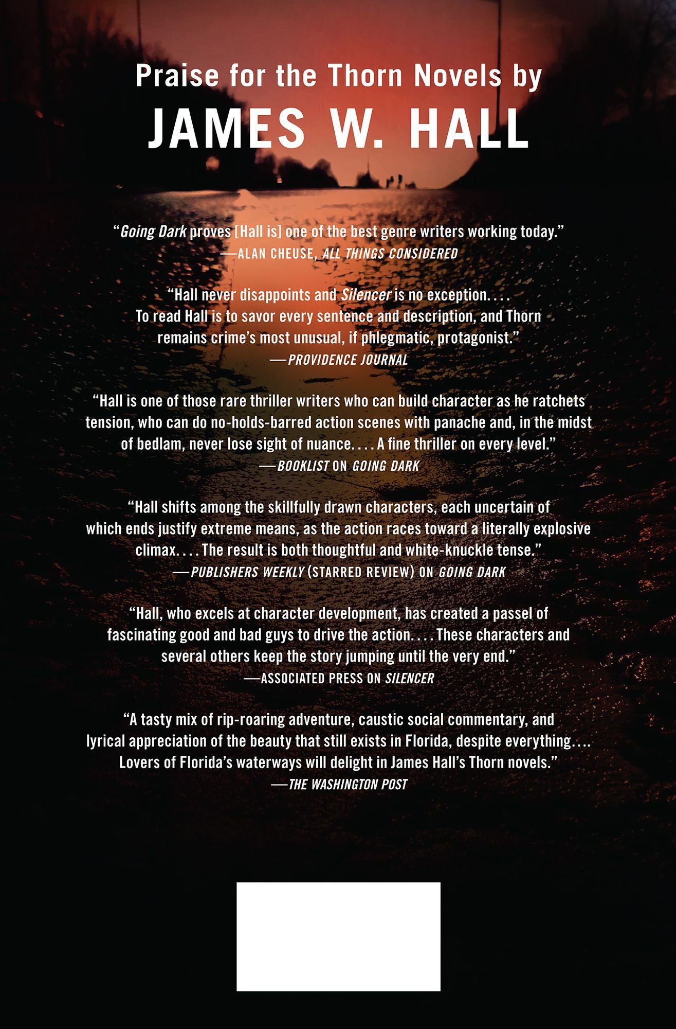 The Big Finish (Thorn Series #14)