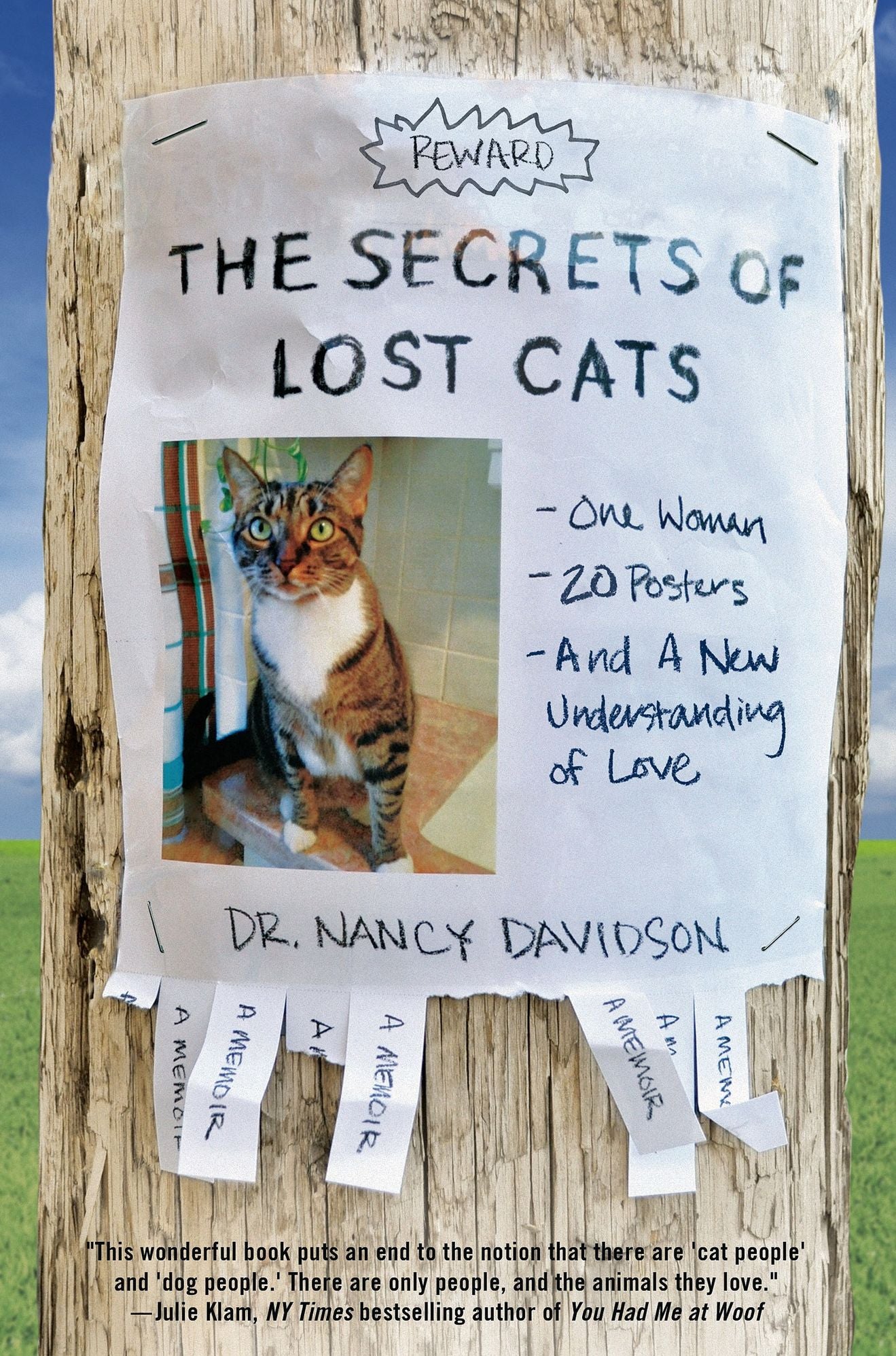 The Secrets of Lost Cats: One Woman, Twenty Posters, and a New Understanding of Love