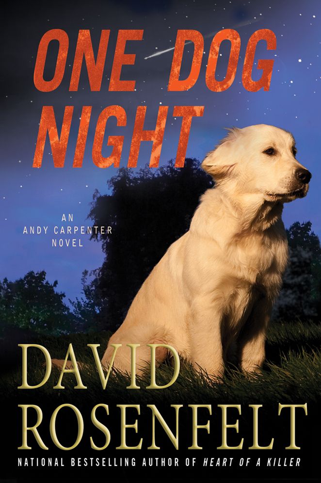 One Dog Night (Andy Carpenter Series #9)
