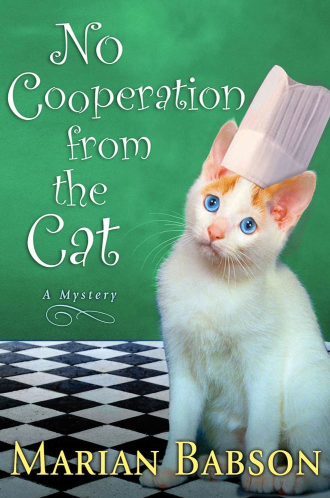 No Cooperation from the Cat: A Mystery