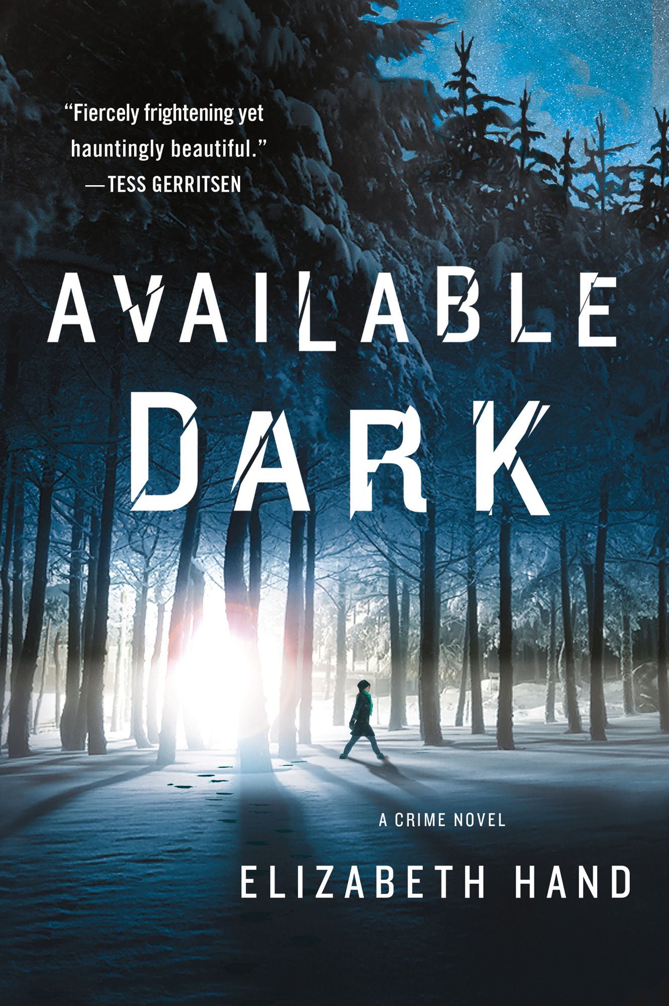 Available Dark (Cass Neary Series #2)