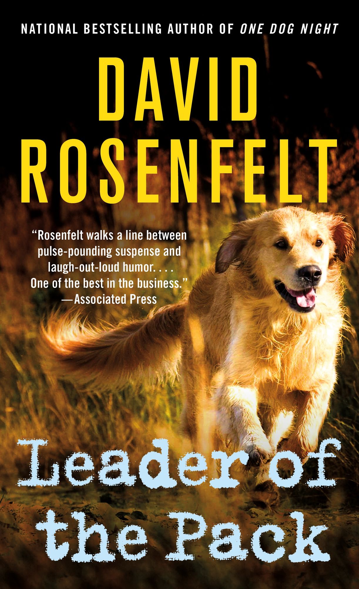 Leader of the Pack (Andy Carpenter Series #10)
