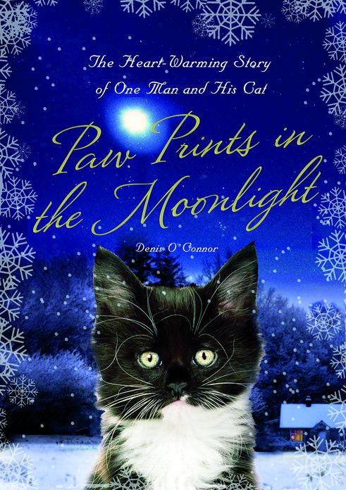 Paw Prints in the Moonlight: The Heartwarming True Story of One Man and his Cat