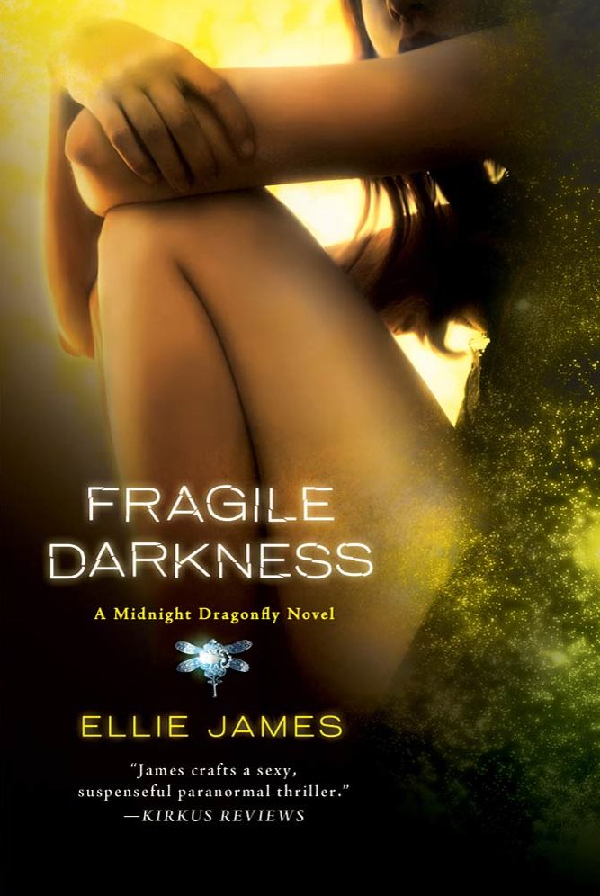Fragile Darkness: A Midnight Dragonfly Novel