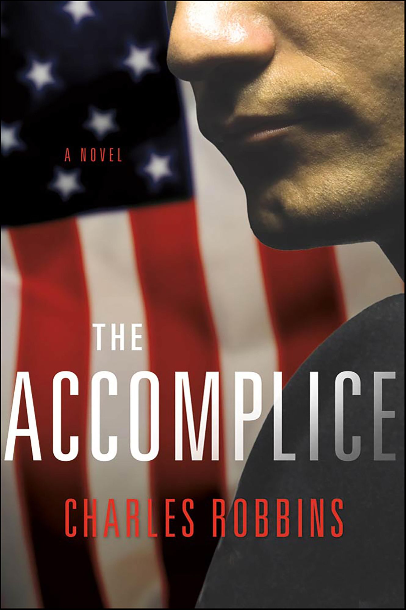 The Accomplice: A Novel
