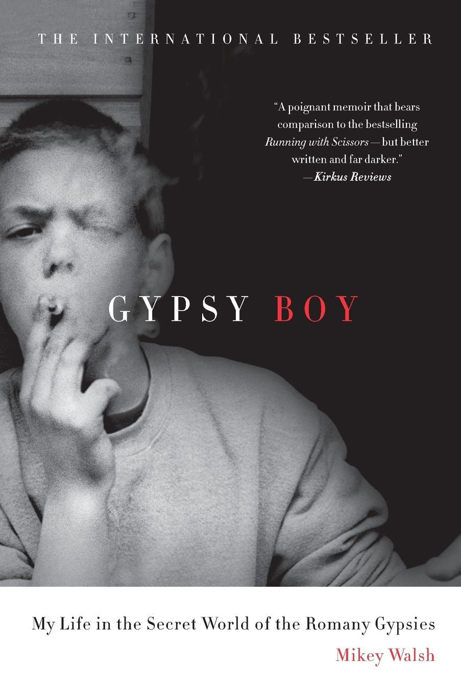 Gypsy Boy: My Life in the Secret World of the Romany Gypsies