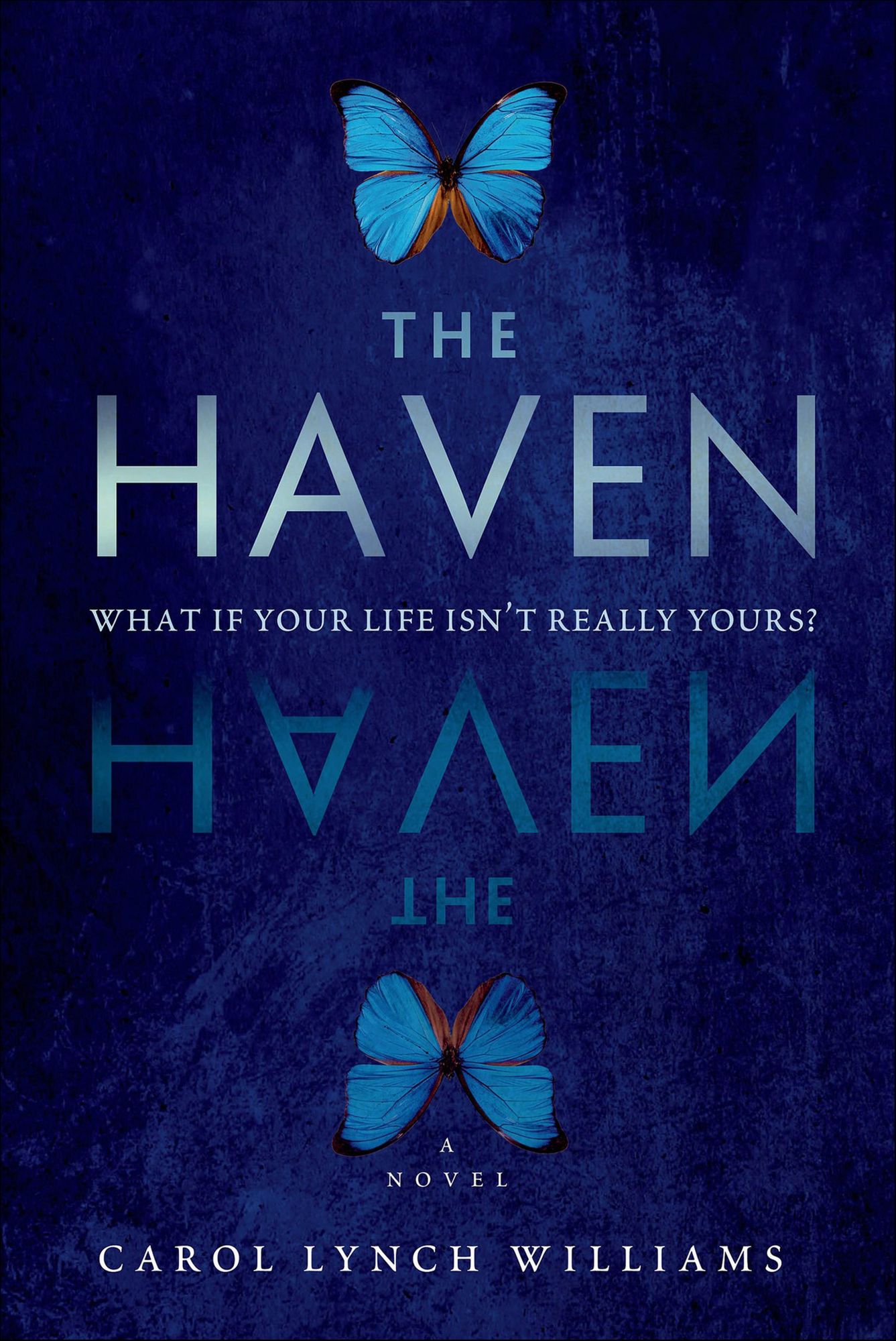 The Haven: A Novel