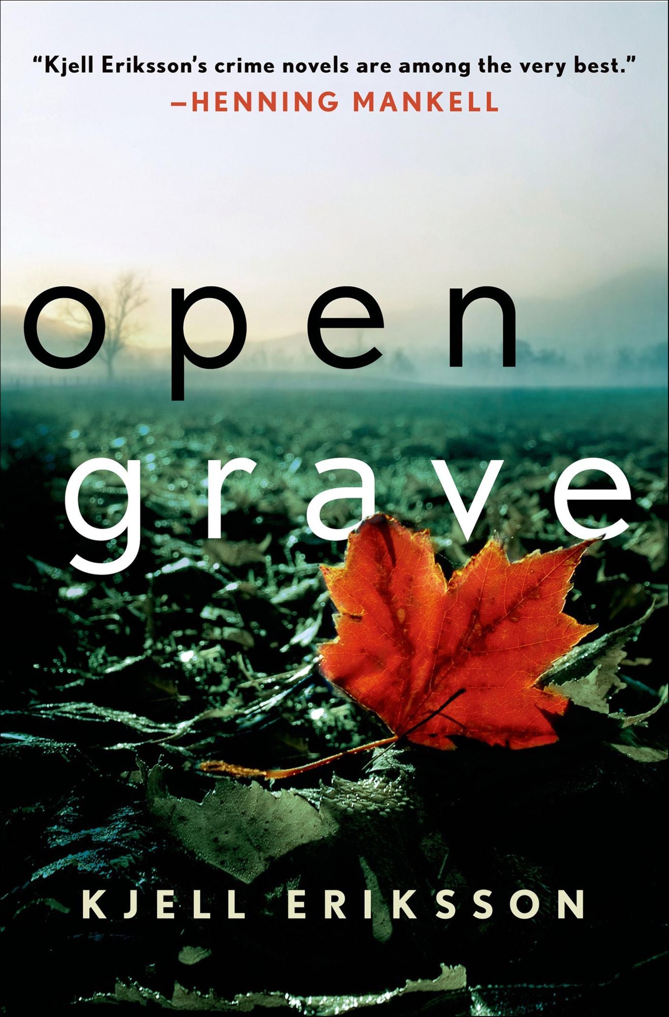 Open Grave (Ann Lindell Series #6)