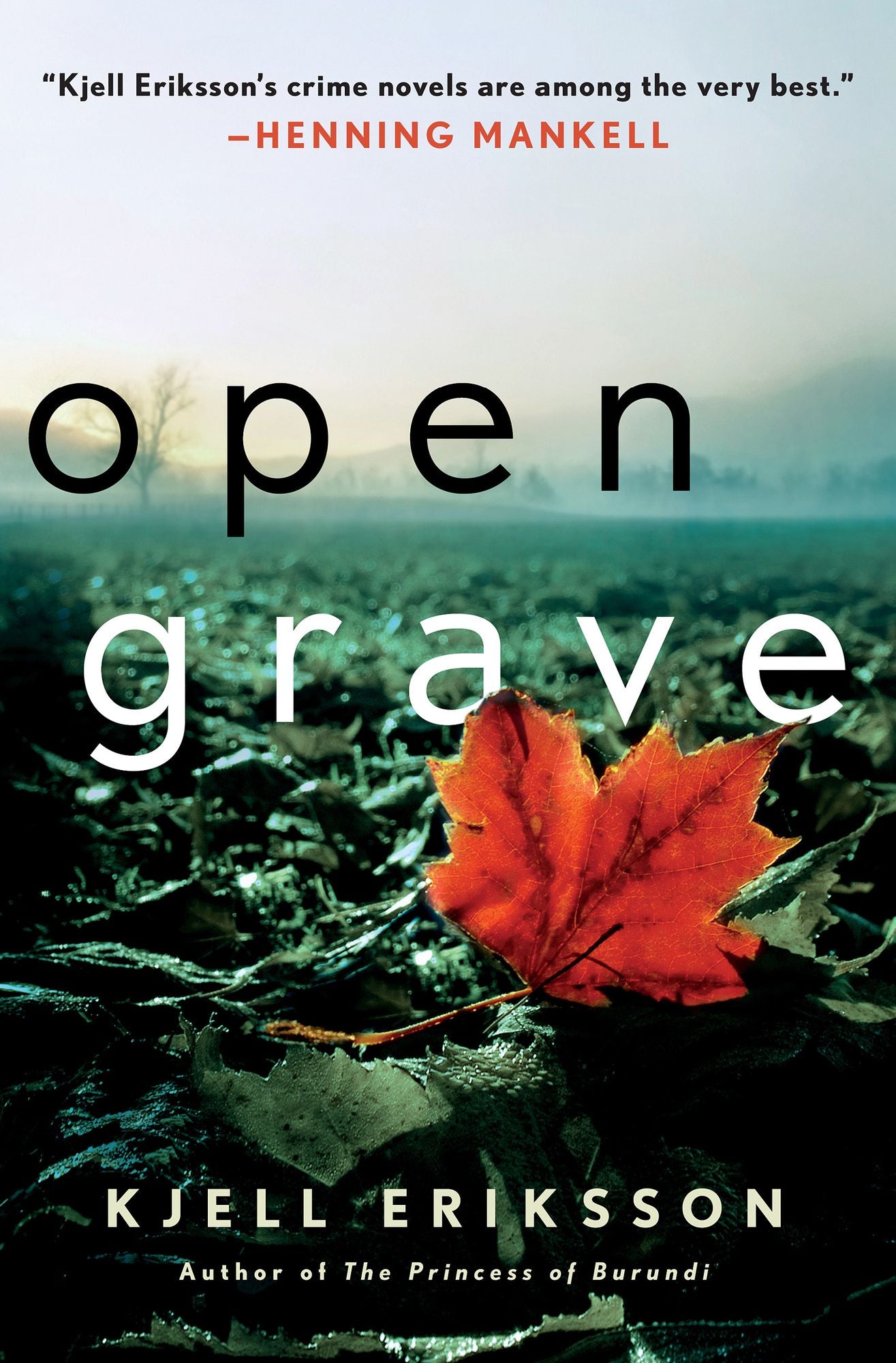 Open Grave (Ann Lindell Series #6)