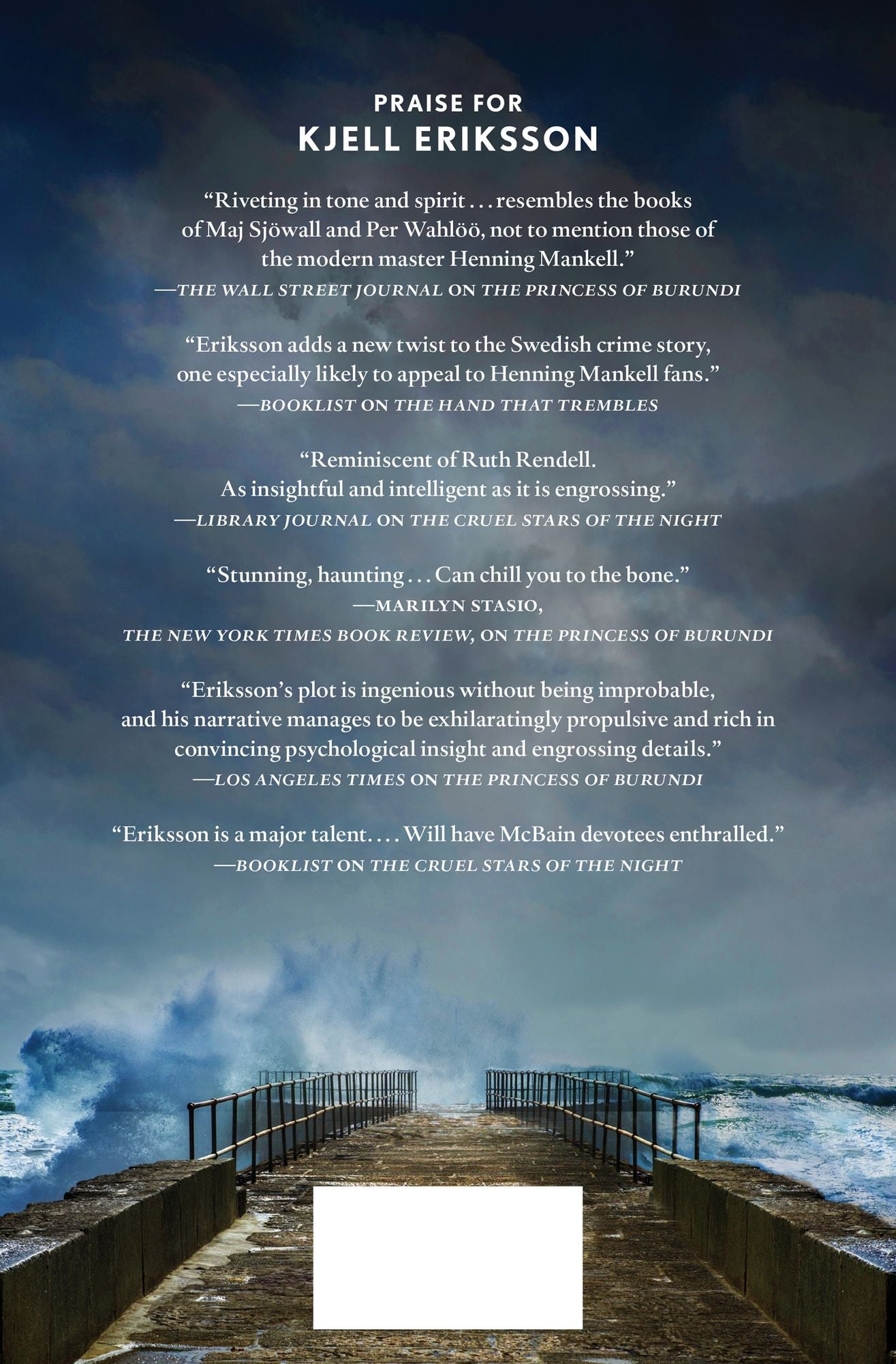 Stone Coffin: An Ann Lindell Mystery