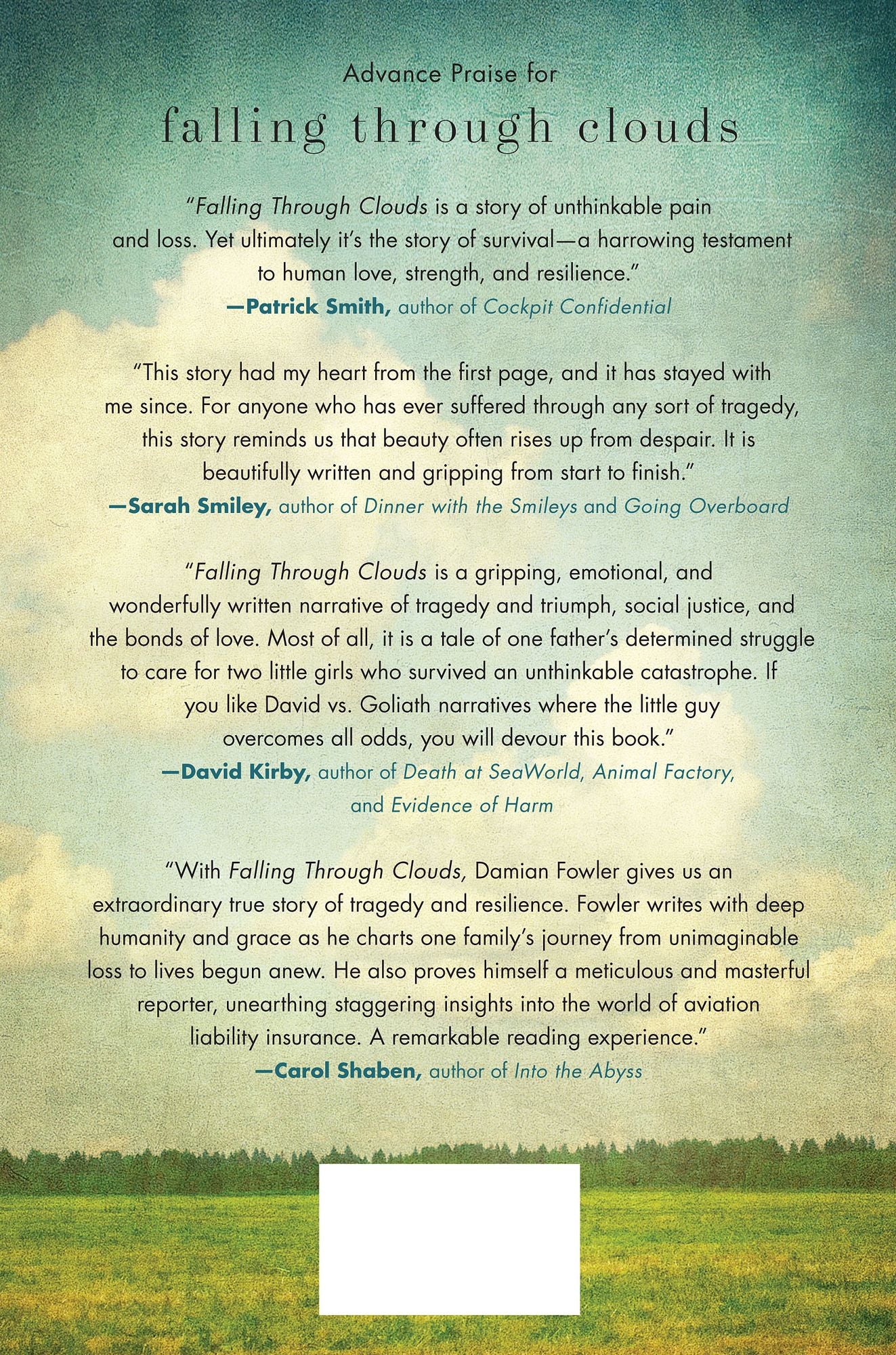 Falling Through Clouds: A Story of Survival, Love, and Liability