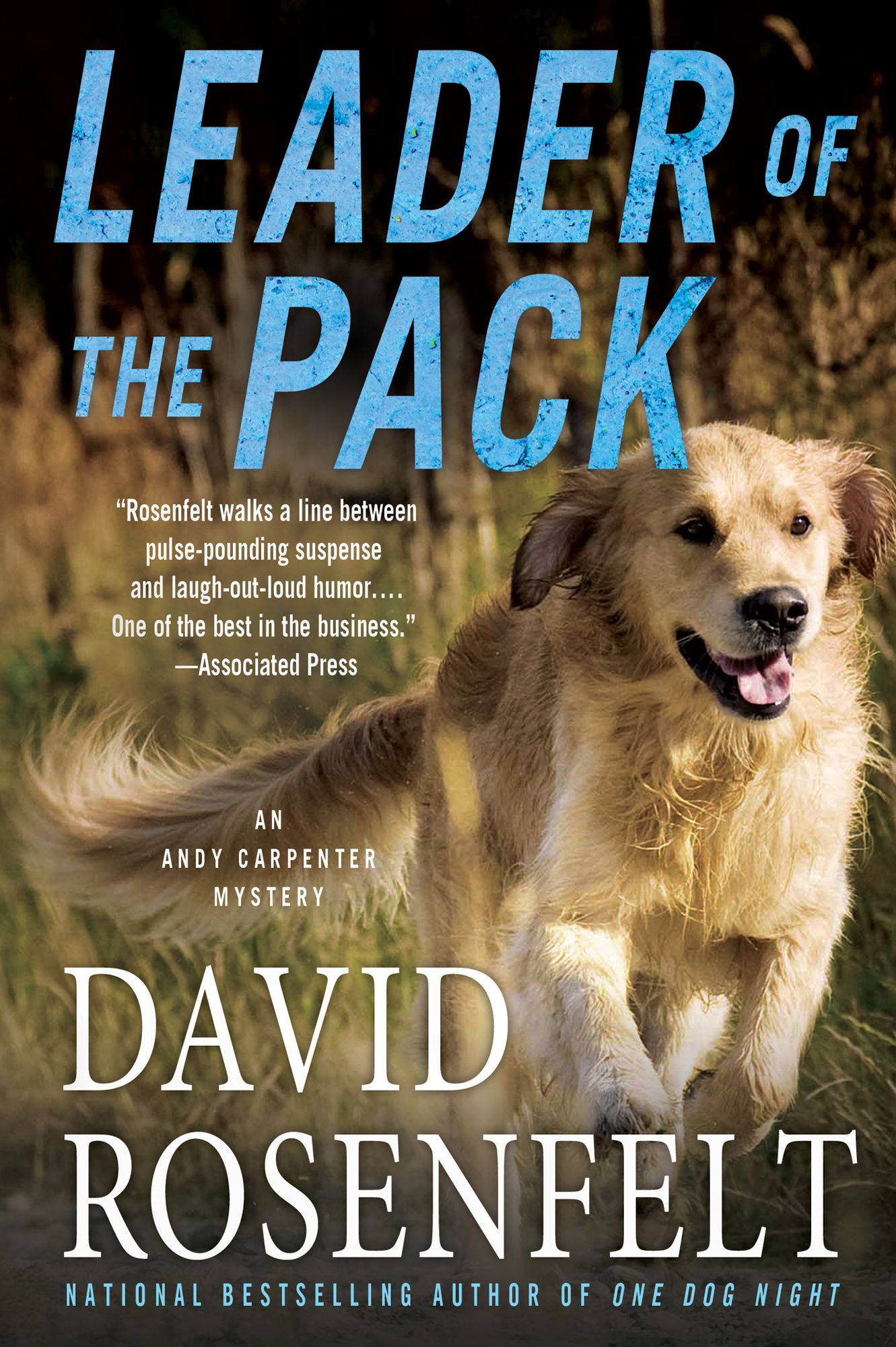 Leader of the Pack (Andy Carpenter Series #10)