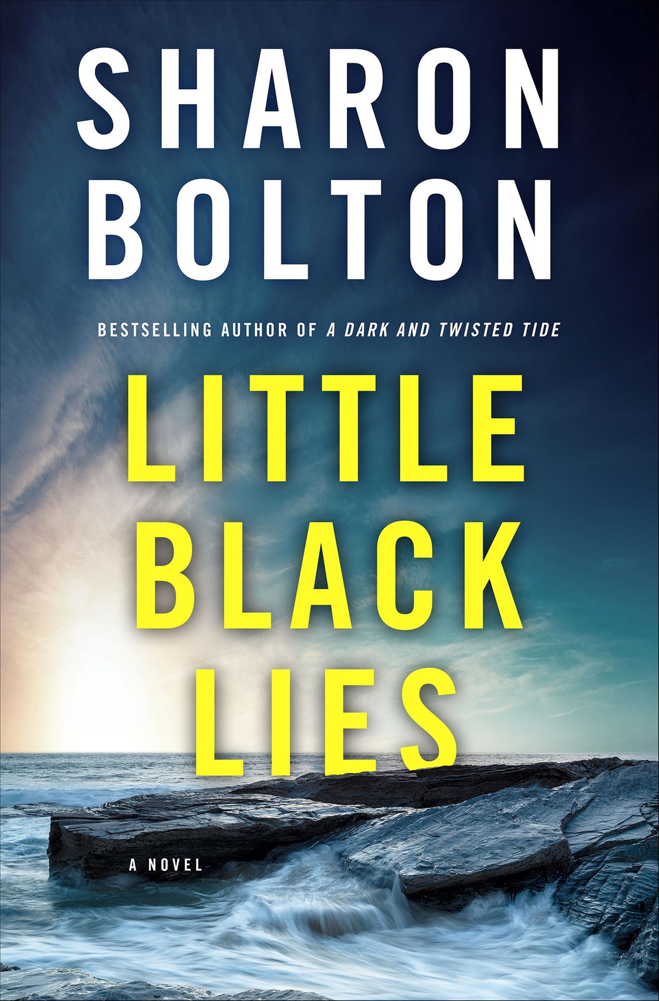 Little Black Lies: A Novel